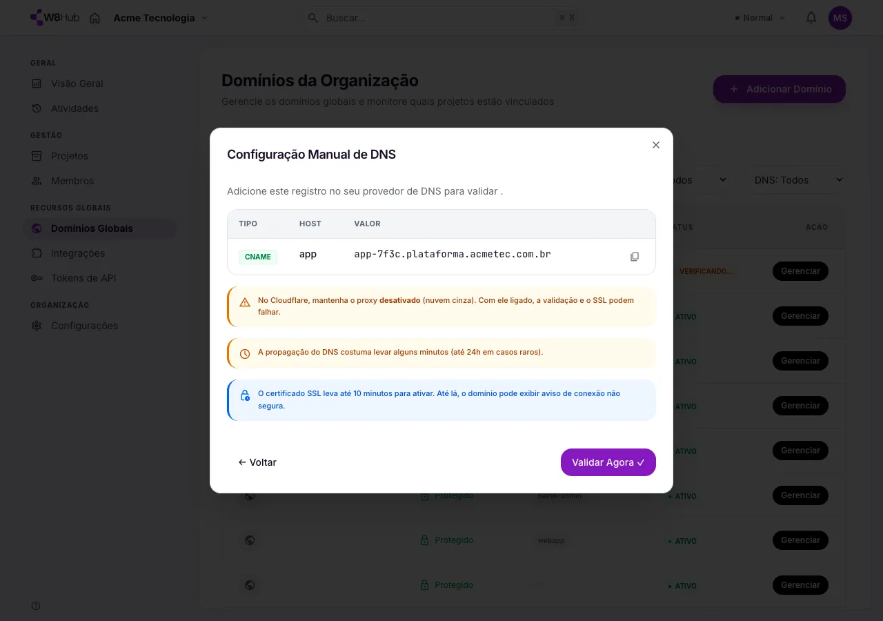 Tela de Configuração Manual de DNS na W8 Hub: um registro CNAME com host e valor para adicionar no provedor, e o aviso sobre manter o proxy da Cloudflare desativado.