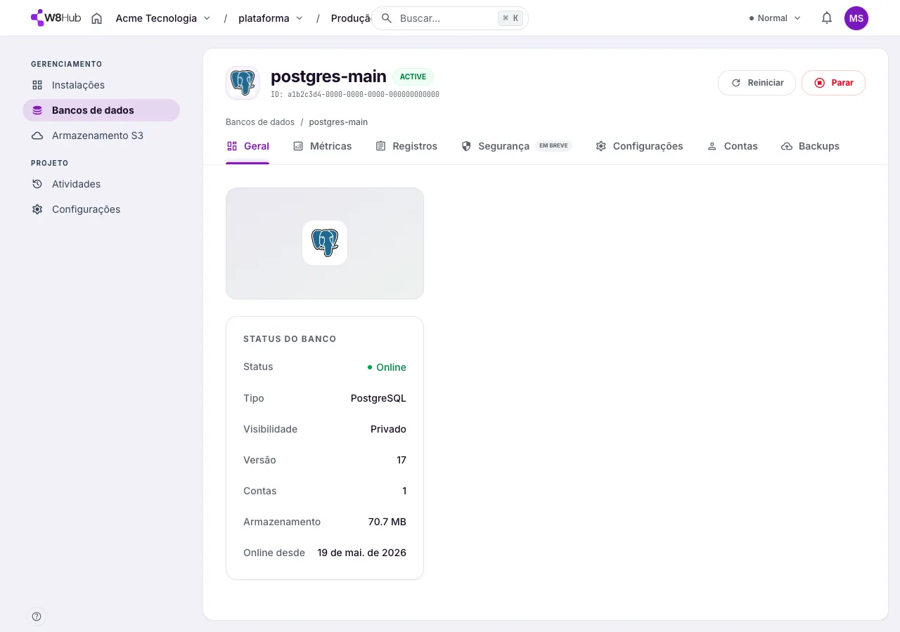 Aba Geral de um banco PostgreSQL na W8 Hub: status online, versão do engine, visibilidade privada e tamanho em disco.